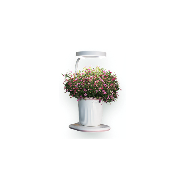 Inteligentna doniczka Mini Grower (1 roślina)